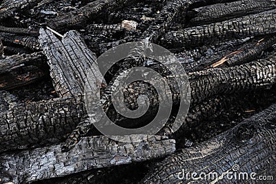 Burned wood logs Stock Photo