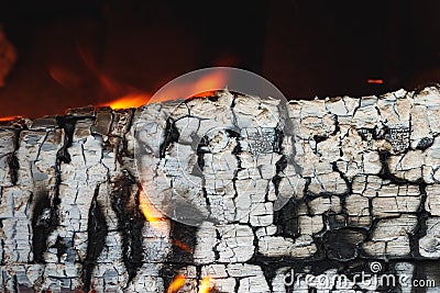 Burned wooden log with ashes texture Stock Photo