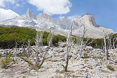 Burned woodland French Valley Torres del Paine Chile Stock Photo