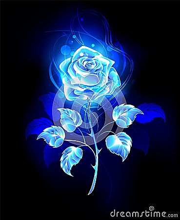 Burning blue rose on black background Vector Illustration