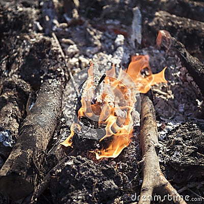 A Burning bonfire close up Stock Photo