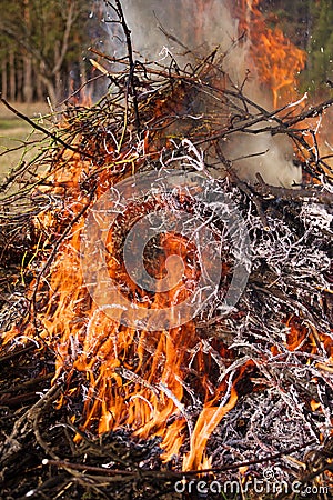 Burning bonfire and gray ashes from dry branches and grass. Stock Photo