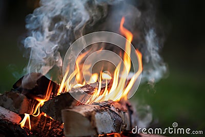 Burning campfire, birch forest in the background Stock Photo