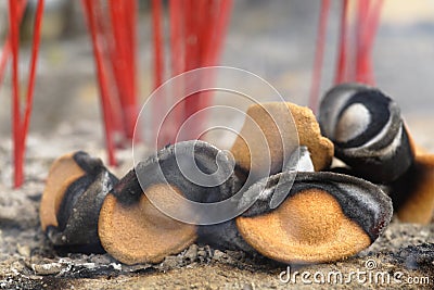 Burning Chinese gold-shaped incense Stock Photo