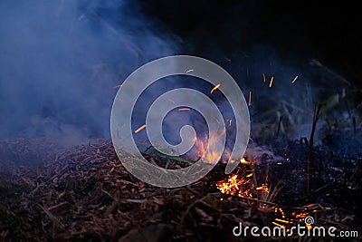 burning conflagration, burning ash, charred dry grass in forest, acrid gray smoke, wildfire, rural fire unplanned, uncontrolled Stock Photo