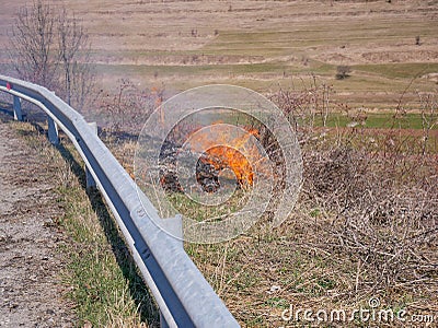 Burning dried vegetation near roadside, negligent people setting up the fire Stock Photo