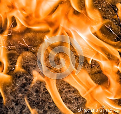 burning felled trees Stock Photo