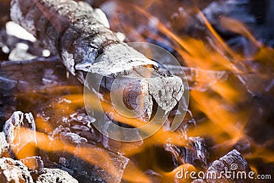 burning felled trees Stock Photo