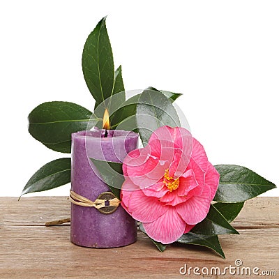 Candle and camellia flower Stock Photo