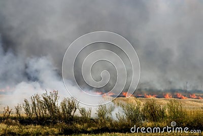 Burning field Stock Photo