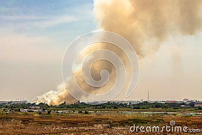Burning field. Stock Photo