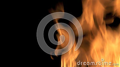 Burning Fire stock video Burning Fire stock video