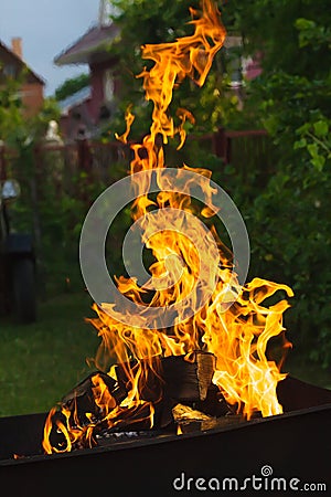 Burning firewood Stock Photo