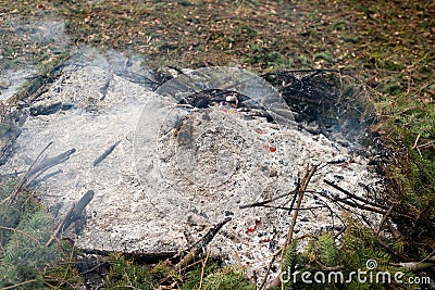 Burning forest fire pine spruce branches bonfire detail of ash Stock Photo