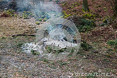 Burning forest fire pine spruce branches bonfire detail of ash Stock Photo