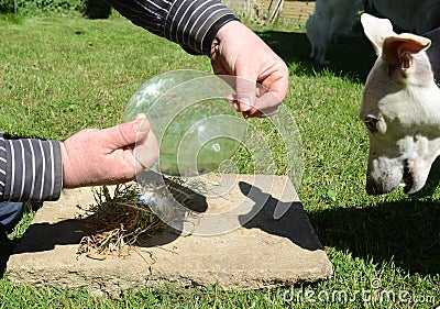 Burning glass Stock Photo