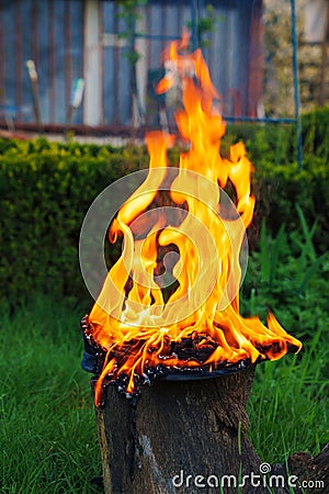 Burning leather sports shoes. Sneakers or gym shoes on fire stand on the Stump. Stock Photo