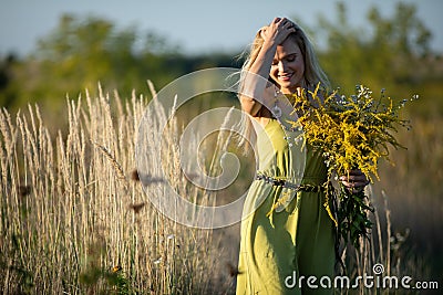 Burning with love, a young herbalist with a bouquet of herbs takes a sun bath at sunset. Common goldenrod and Stock Photo