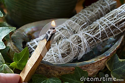 Burning Palo Santo Smudge Stick Close Up Stock Photo