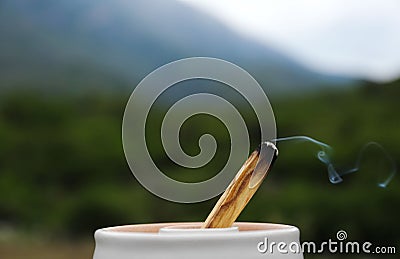 Burning palo santo stick on blurred background, closeup Stock Photo