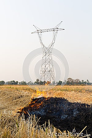 Burning rice stubble Stock Photo