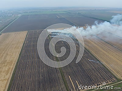 Burning straw in the fields after harvesting wheat Stock Photo