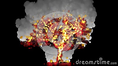 Burning tree animation with alpha channel stock video