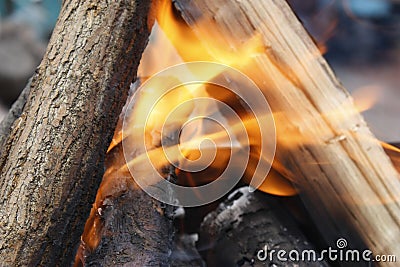 Burning tree in the grill. Bonfire on the grill with smoke. Arson or natural disaster. Bonfire close. Fire in nature. Campfire Stock Photo