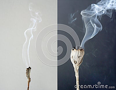 Burning white sage Stock Photo