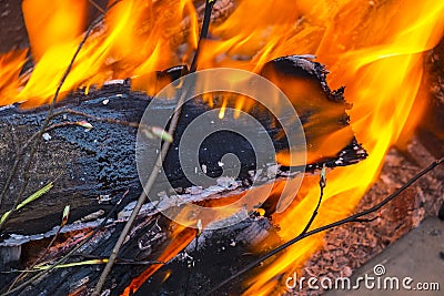 Burning wood, close up Stock Photo