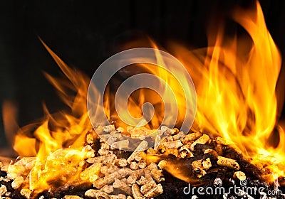 Burning wood pellet Stock Photo