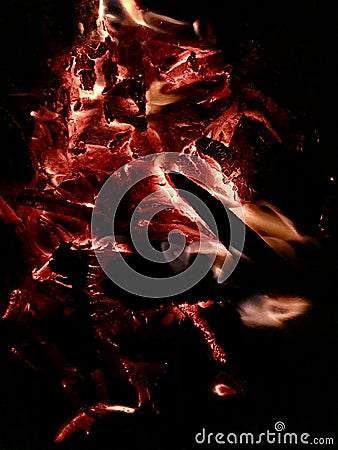 Burning woods with reddish fires unique photo Stock Photo