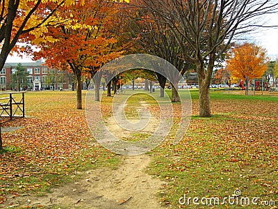 Burns Park in Ann Arbor Stock Photo