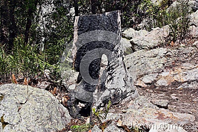 Burnt australian tree in mountain Ninderry Stock Photo