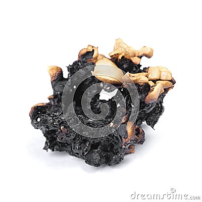 Burnt popcorn kernel Stock Photo