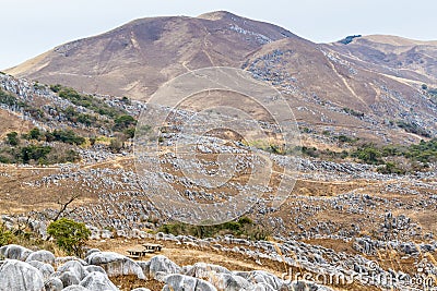 Burnt Winter Landscape at Hiraodai Karst Plateau Stock Photo