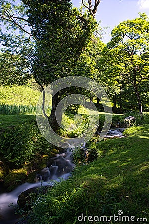 River Running Into Burrator Reservoir Stock Photo