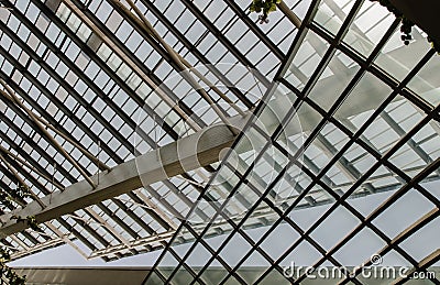 Burred light and shadow passing through glazed ceiling shines Editorial Stock Photo