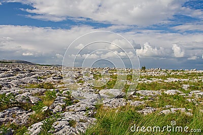 The Burren Stock Photo