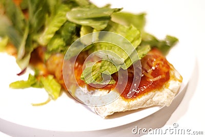 Burrito for Lunch Stock Photo