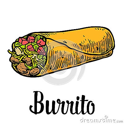 Burrito - mexican traditional food. Vector color vintage engraved illustration for menu, poster, web. Isolated on white background Vector Illustration
