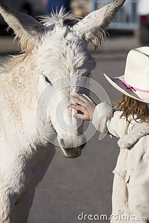 Burro with Child Stock Photo