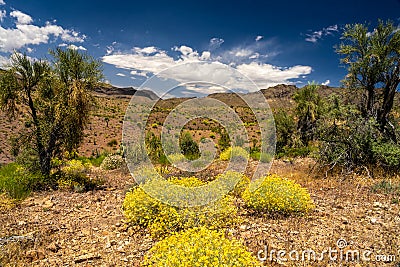 Burro Creek Wilderness Arizona Stock Photo