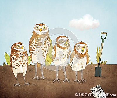 Burrowing Owls In Farm Field Cartoon Illustration