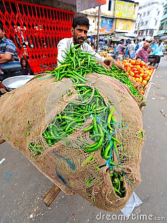 BURSTING GREEN PEPPERS,RAJASTHAN,INDIA Editorial Stock Photo