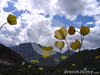 Buryatia. Baikal. The Shumak Pass 2760 meters Stock Photo