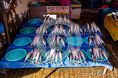 Busan Jagalchi Market Editorial Stock Photo