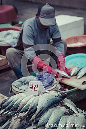 BUSAN - OCTOBER 27, 2016: Fresh fish and seafood at Jagalchi Fish market, Busan, South Korea. Editorial Stock Photo