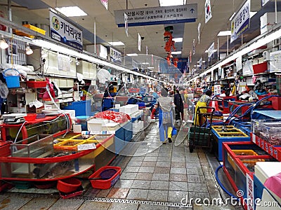 Fresh fish shops in Busan Jagalchi Market Editorial Stock Photo