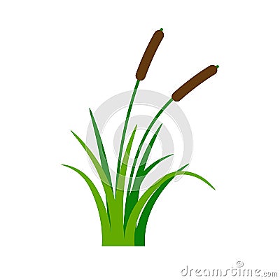 Bush bulrush with green grass Vector Illustration